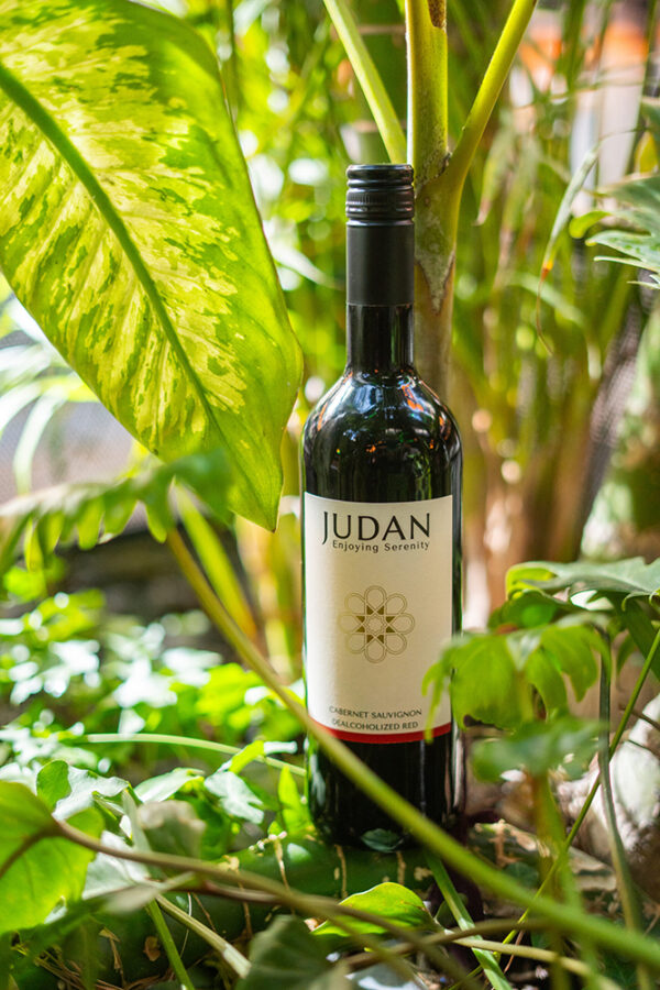 JUDAN CABERNET SAUVIGNON 3