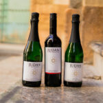 Pack Bienvenida 3 botellas