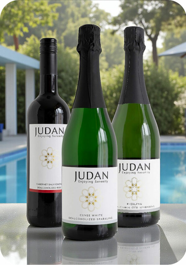 Pack Bienvenida tres botellas