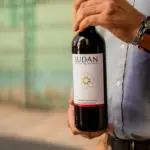 Botella de vino tinto sin alcohol Judan cabernet sauvignon - nada de alcohol, todo el sabor.