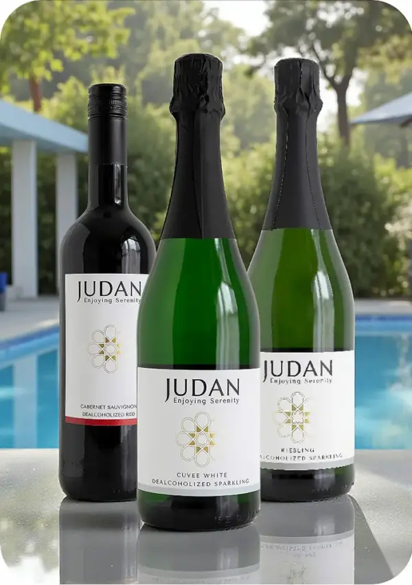 Pack bienvenida con tres botellas JUDAN - nada de alcohol, todo el sabor.